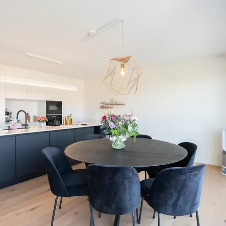 Brand New 3br House With Garden In Mariakerke אוסטנדה